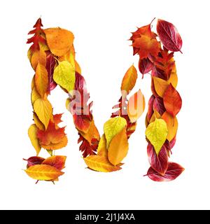 3D Alphabet aus Blättern, Herbst, 3D Darstellung auf weißem Grund, Großbuchstabe M Stockfoto