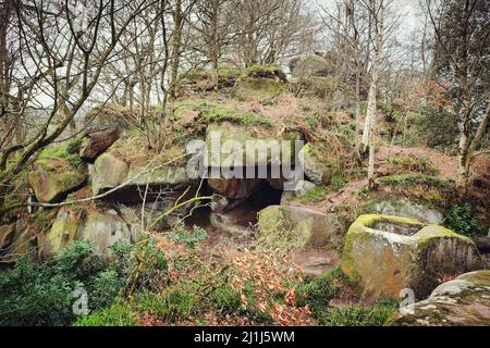 Rowtor Rocks in Birchover, Peak District, Großbritannien Stockfoto