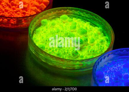 Fluoreszierendes organisches Materialpulver in roter, gelber, grüner Farbe für die Produktion von OLED-Displays im UV-Licht.Nahaufnahme. Stockfoto