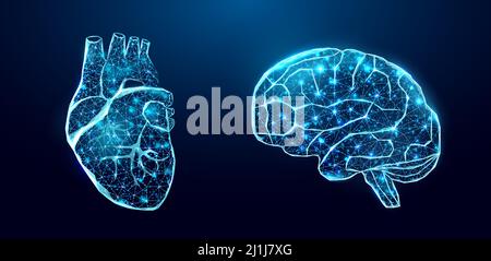 Menschliches Herz und Gehirn. Drahtmodell mit geringer Poly-Optik. Abstrakte moderne 3D Vektor-Illustration auf dunkelblauem Hintergrund. Stock Vektor