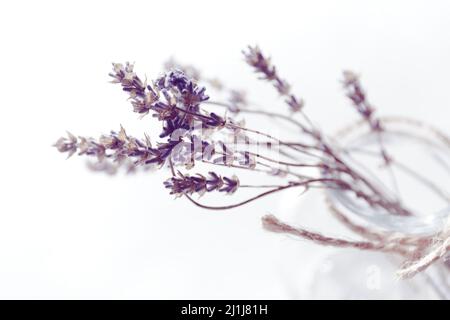 Getrockneter Flieder-Lavendel in einer Glasflasche mit Garn auf weißem Hintergrund. Draufsicht Stockfoto