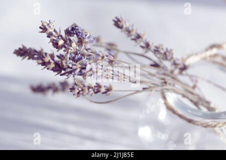 Getrockneter lila Lavendel in einer Glasflasche mit Garn und mit leichten Highlights. Ein kleiner Strauß trockener Blumen. Draufsicht Stockfoto