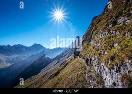 Frau beim Wandern auf dem Schäfler Höhenweg Stockfoto