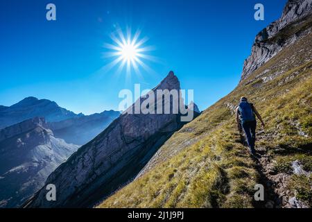 Frau beim Wandern auf dem Schäfler Höhenweg Stockfoto