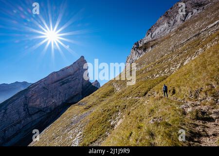 Frau beim Wandern auf dem Schäfler Höhenweg Stockfoto