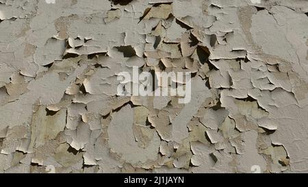 Rissige Farbe an der Wand. Bemalte Wand mit geschälter Struktur und Peeling, Hintergrund für Schablone. Die Farbe blättert an der Wand. Stockfoto