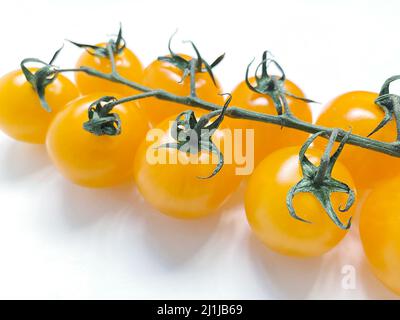 Gelbe Kirschtomaten. Ein kleiner Bund gelber Tomaten auf einem einzigen grünen Zweig auf weißem Hintergrund Stockfoto