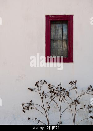 Rotes Fenster und weiße Wand mit getrockneten Pflanzen auf einem Haus in Cortina d'Ampezzo, Italien Stockfoto