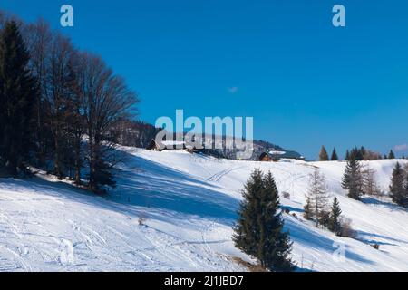 Winter verschneiten Berghang, Tannen auf der Bergspitze mit schönen blauen Himmel und Sonnenschein. Spektakuläre Winter Naturlandschaft für den Urlaub Stockfoto