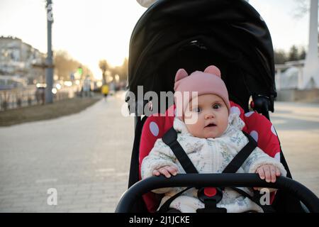 Baby im Kinderwagen auf einem Spaziergang im Sommerpark. Entzückender kleiner Junge im karierten Hemd, der im blauen Kinderwagen sitzt. Stockfoto