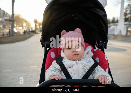 Baby im Kinderwagen auf einem Spaziergang im Sommerpark. Entzückender kleiner Junge im karierten Hemd, der im blauen Kinderwagen sitzt. Stockfoto