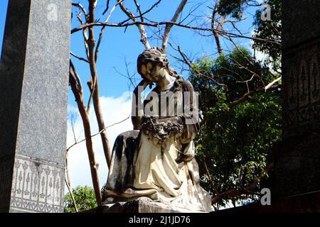 Grab auf dem historischen Toowong Friedhof in Brisbane Australien Stockfoto