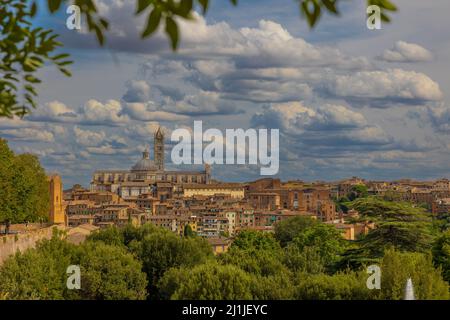 Blick auf die Kathedrale von Siena von der Fortezza medicea Stockfoto