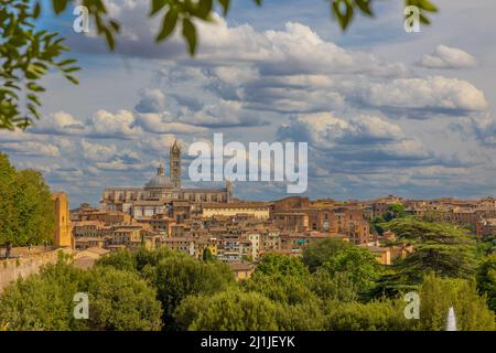 Blick auf die Kathedrale von Siena von der Fortezza medicea Stockfoto