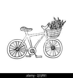 Linie Fahrrad mit Korb von Blumen in Doodle-Stil. Handgezeichnete Vektordarstellung isoliert Stock Vektor