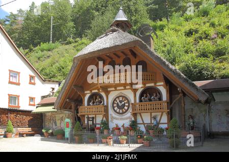 Kuckucksuhr bei Hornberg im südlichen Schwarzwald, Baden-Württemberg, Deutschland Stockfoto