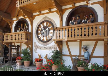 Detail der Kuckucksuhr bei Hornberg im südlichen Schwarzwald, Baden-Württemberg, Deutschland Stockfoto