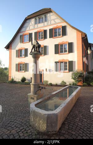 Hiddigeei-Brunnen am Rathausplatz in Bad Säckingen, Baden-Württemberg, Deutschland Stockfoto