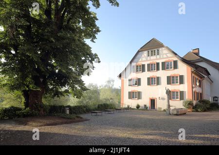 Rathausplatz mit Hiddigeei-Brunnen in Bad Säckingen, Baden-Württemberg, Deutschland Stockfoto