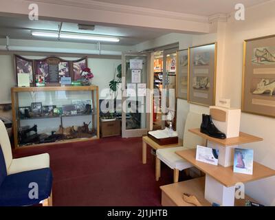 Haupteingang bei Barkers Shoots Earls Barton mit Museumsgegenständen Northamptonshire UK Ausstellungsstücke Schränke Schrank alter Typ Ansicht Verkauf Stockfoto