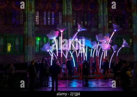 Aberdeen, Schottland - 11. Februar 2022: SPECTRA Light Festival in Aberdeen, Schottland Stockfoto