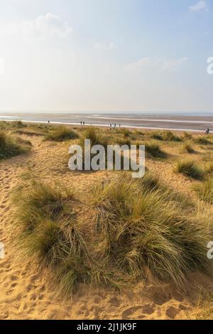 Dünen am St. Edmund's Point Old Hunstanton an einem für die Saison unheimlich sonnigen Märznachmittag Stockfoto