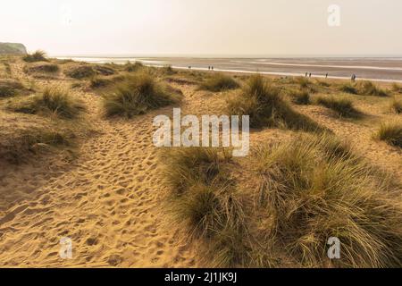 Dünen am St. Edmund's Point Old Hunstanton an einem für die Saison unheimlich sonnigen Märznachmittag Stockfoto