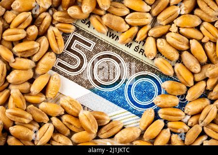 Weizenkörner mit Details der polnischen 500 PLN Banknote. Objekt wird mit einem gleichmäßigen, weichen Licht beleuchtet. Stockfoto