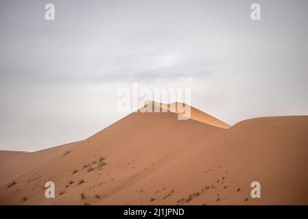 Starker Wind (Harmattan) weht Sand aus Wüstendünen, White Valley, Adrar Region, Mauretanien Stockfoto