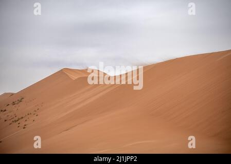 Starker Wind (Harmattan) weht Sand aus Wüstendünen, White Valley, Adrar Region, Mauretanien Stockfoto