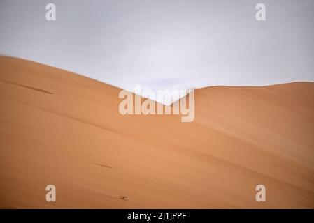 Starker Wind (Harmattan) weht Sand aus Wüstendünen, White Valley, Adrar Region, Mauretanien Stockfoto