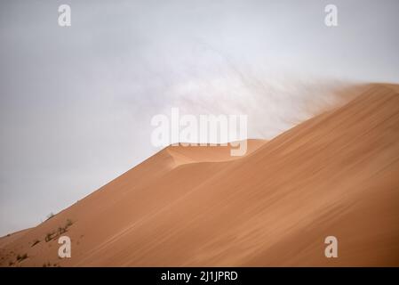 Starker Wind (Harmattan) weht Sand aus Wüstendünen, White Valley, Adrar Region, Mauretanien Stockfoto