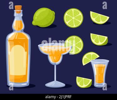 Tequila Flasche, Schuss, Glas mit Tequila und Limette. Mexikanisches traditionelles alkoholisches Getränk. Vektorgrafik im Cartoon-Stil. Kalk ganz, in Scheiben schneiden, schneiden. Stock Vektor