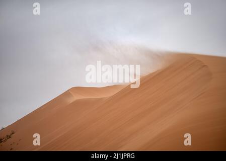 Starker Wind (Harmattan) weht Sand aus Wüstendünen, White Valley, Adrar Region, Mauretanien Stockfoto