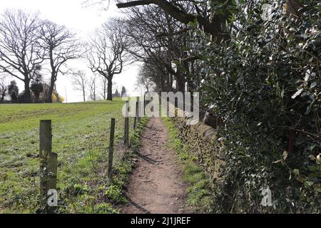 Blick auf Heald Wood in der Nähe von Woodley und Greave, Stockport, Greater Manchester Stockfoto