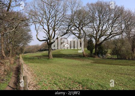 Blick auf Heald Wood in der Nähe von Woodley und Greave, Stockport, Greater Manchester Stockfoto