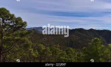 Schöne Aussicht auf die rauen Berge der zentralen Insel Grand Canaria, Spanien vom Tamadaba Naturpark mit dem beliebten Felsen Roque Nublo und Bäumen. Stockfoto