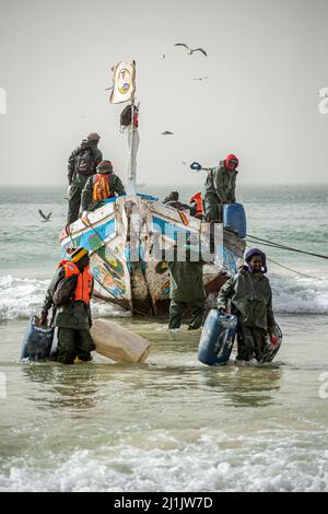 Fischer, die mit ihren farbenfrohen Booten mit frisch gefangenem Fisch, Nouakchott, Mauretanien, auf den Fischmarkt kommen Stockfoto