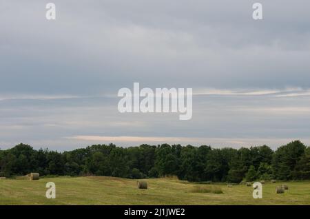 Ein Foto von Grasfeld, das vor kurzem gemäht und mit Bäumen im Hintergrund und bewölkten Himmel geballt wurde Stockfoto