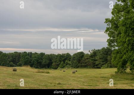 Ein Foto von Grass Field, das vor kurzem gemäht und mit Bäumen im Hintergrund und bewölkten Himmel geballt wurde Stockfoto