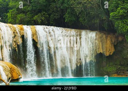 Wasserfall Agua Azul in Chiapas. Mexiko Stockfoto