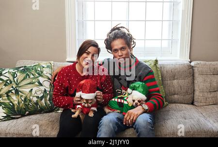 Auch unsere Hunde sind in Weihnachtsstimmung. Porträt eines fröhlichen jungen Paares, das während des Sitzens auf einem Sofa seine Hunde in der Hand hält Stockfoto