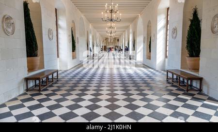 Eine schöne Innenaufnahme des Schlosses von Chenonceau in Chenonceaux, Frankreich mit Fliesenboden Stockfoto