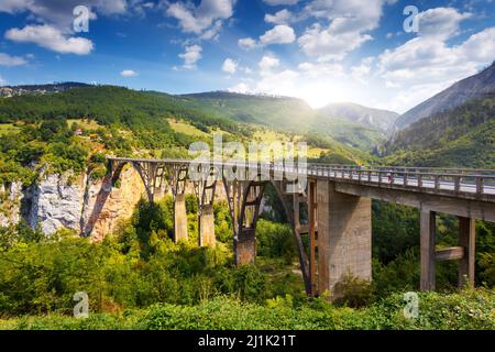 Alte große Brücke in Durdevica und fantastischer Aussicht Tara River Gorge - ist die größte Schlucht Europas im Nationalpark Durmitor, Montenegro. Balka Stockfoto