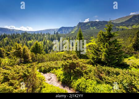 Schönen, sonnigen Tag in der Bergwelt. Karpaten, Ukraine, Europa. Beauty Welt. Stockfoto