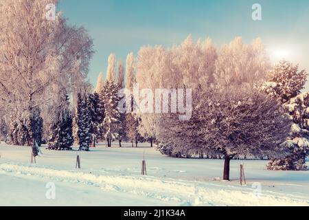 Fantastic winter landscape. Ukraine, Europe. Beauty world. Stockfoto