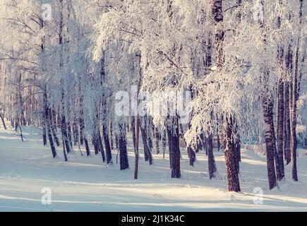 Fantastic winter landscape. Ukraine, Europe. Beauty world. Stockfoto
