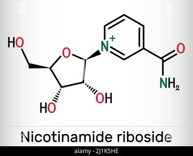 Nicotinamid-Ribosid, NR, SR647-Molekül. Es ist N-Glycosylnicotinamid, Pyridinnucleosid ähnlich wie Vitamin B3. Chemische Formel des Skeletts. Vektor Stock Vektor