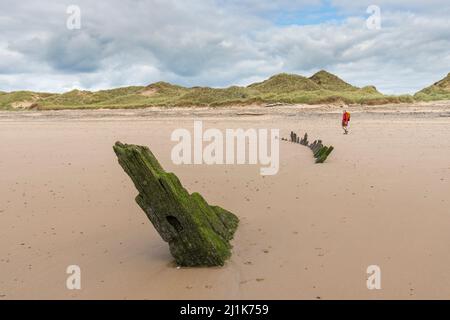 Überreste eines Wrackschiffs auf Kenfig Sands (auch bekannt als Sker Beach), Wales, Großbritannien Stockfoto
