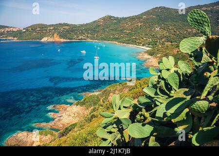 Südkorsika, türkisfarbenes Meer und grüne Landschaft von oben. Frankreich Stockfoto